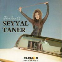 The Best of Seyyal Taner